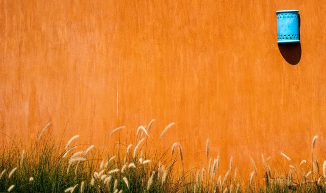 wall, replacement lamp, the background, grass, nature, decorative lamp
