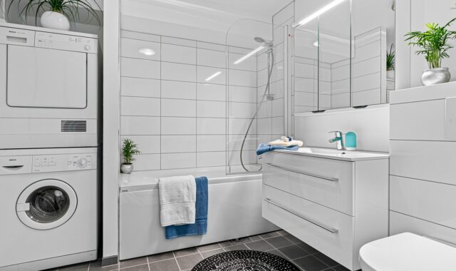 real estate, interior, bath room, toilet, shelf, sink, luxury, art, table, wood, chair, shampoo, shower, washing machine, mirror, towel, nature, decor, cabinet, plant, carpet