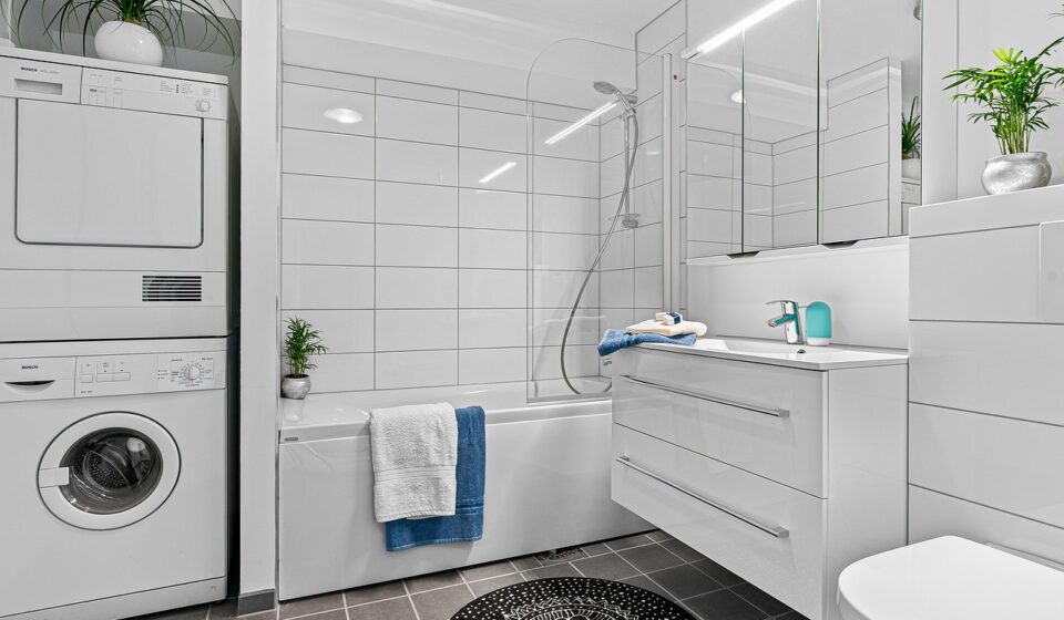 real estate, interior, bath room, toilet, shelf, sink, luxury, art, table, wood, chair, shampoo, shower, washing machine, mirror, towel, nature, decor, cabinet, plant, carpet