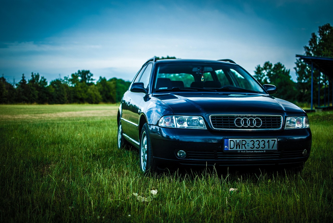 audi, a4, meadow, car, sky, grass, transport, cars, tourism, light, auto, nature, car tires, landscapes, the door, reflector, car wallpapers, universal, used, replacement lamp, automotive, wheels, personal, lacquer, polishing
