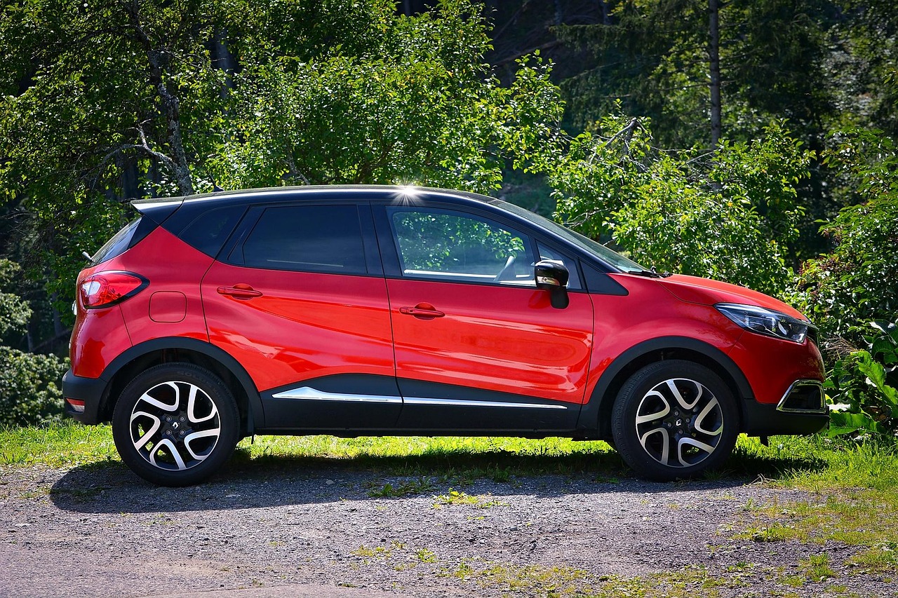 automobile, suv, vehicle, small car, passenger cars, red, nature, suv, suv, suv, suv, suv